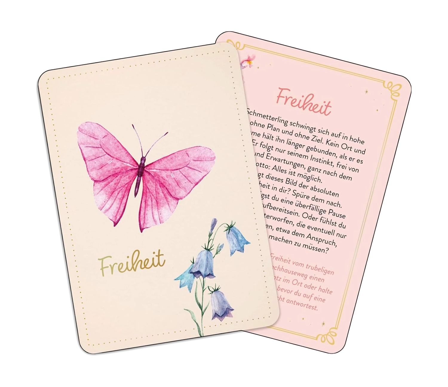 farfalla-zauber-der-schmetterlinge-cartes-oracle-50-cartes-papillons image 3
