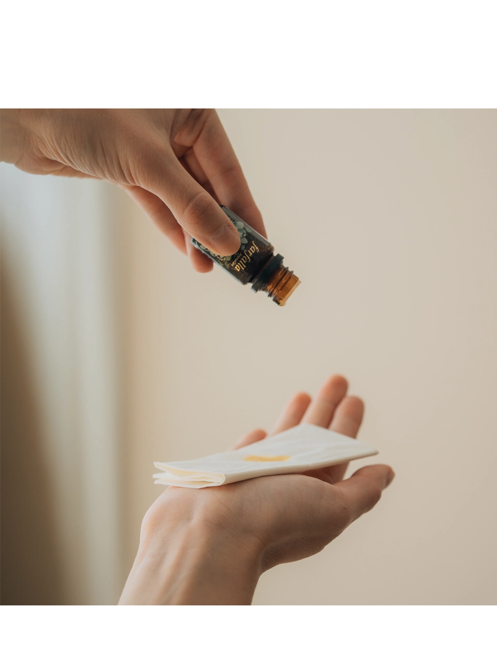 farfalla-hiver-s-minaire-aromath-rapie-tcm-r-g-n-ration image 1