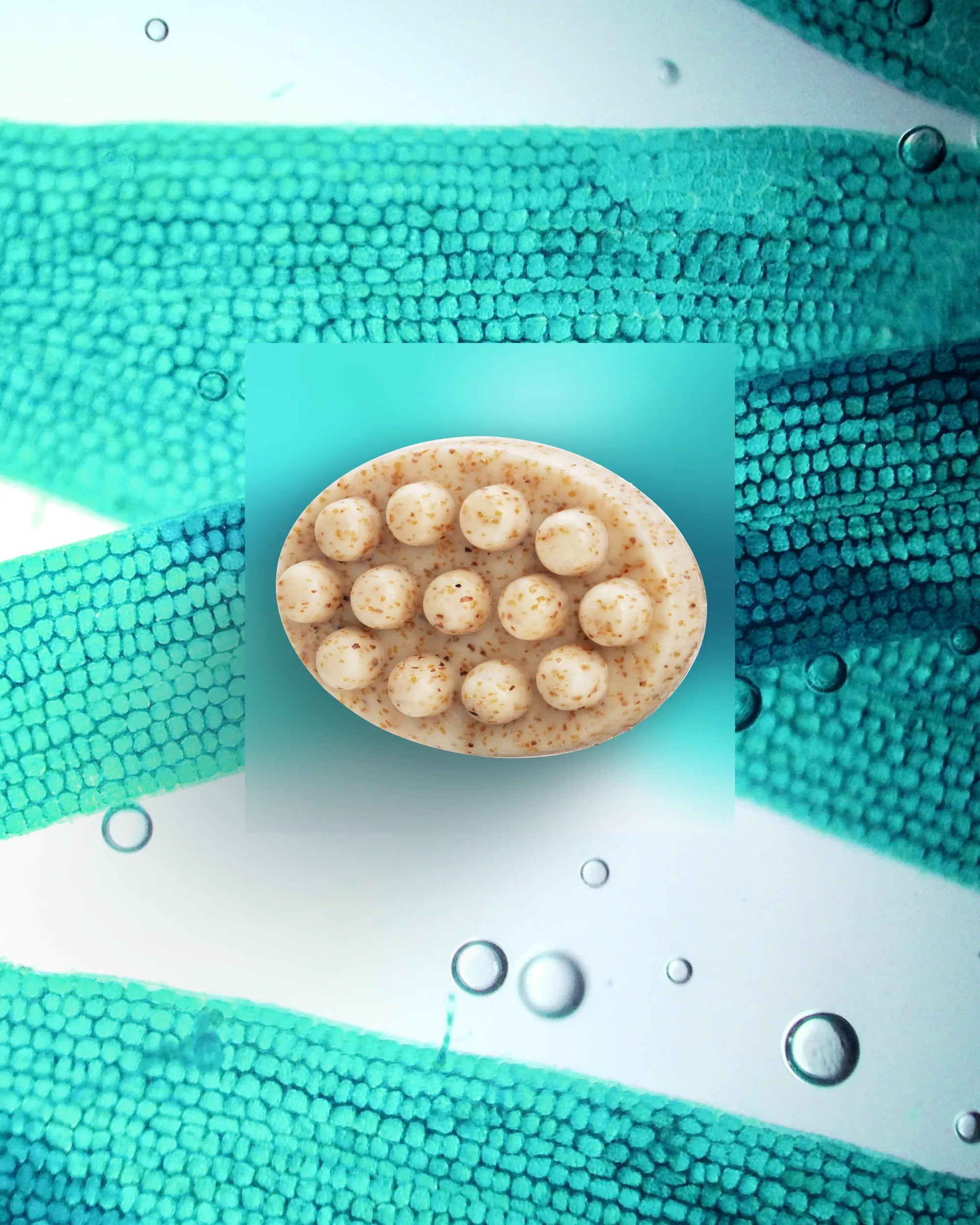 algotherm-ocean-slim-savon-corps-exfoliant-aux-algues image 2