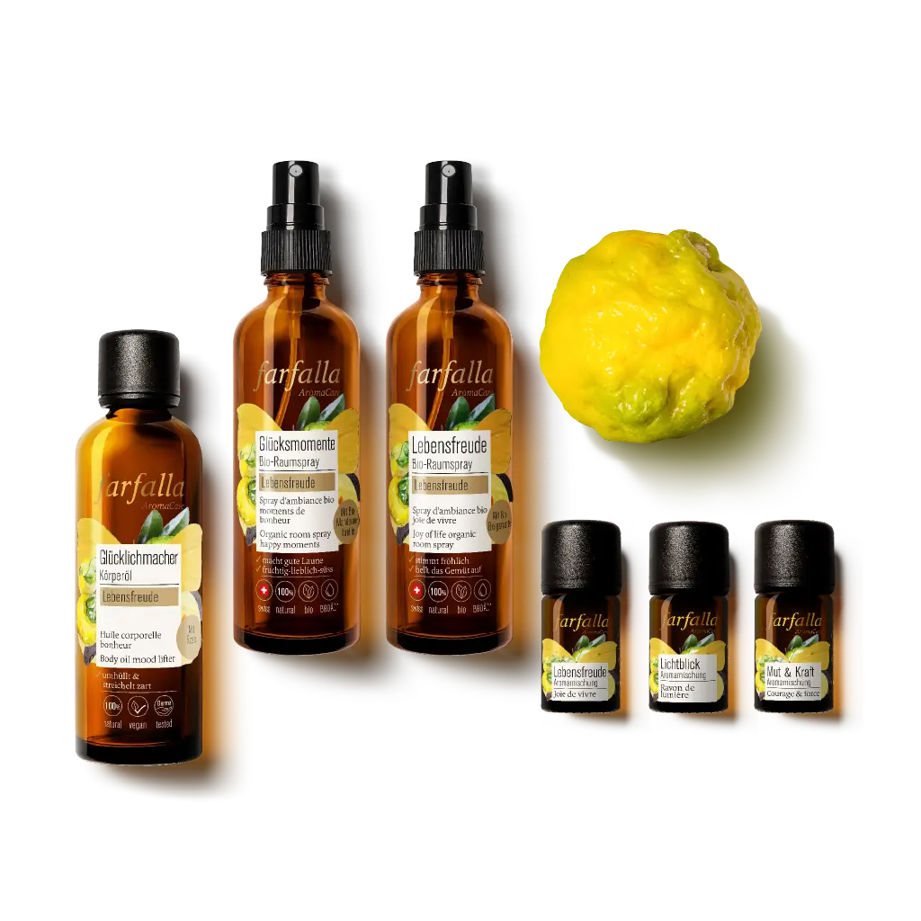 farfalla-gl-cksmomente-spray-ambiance-mandarine-vanille image 2