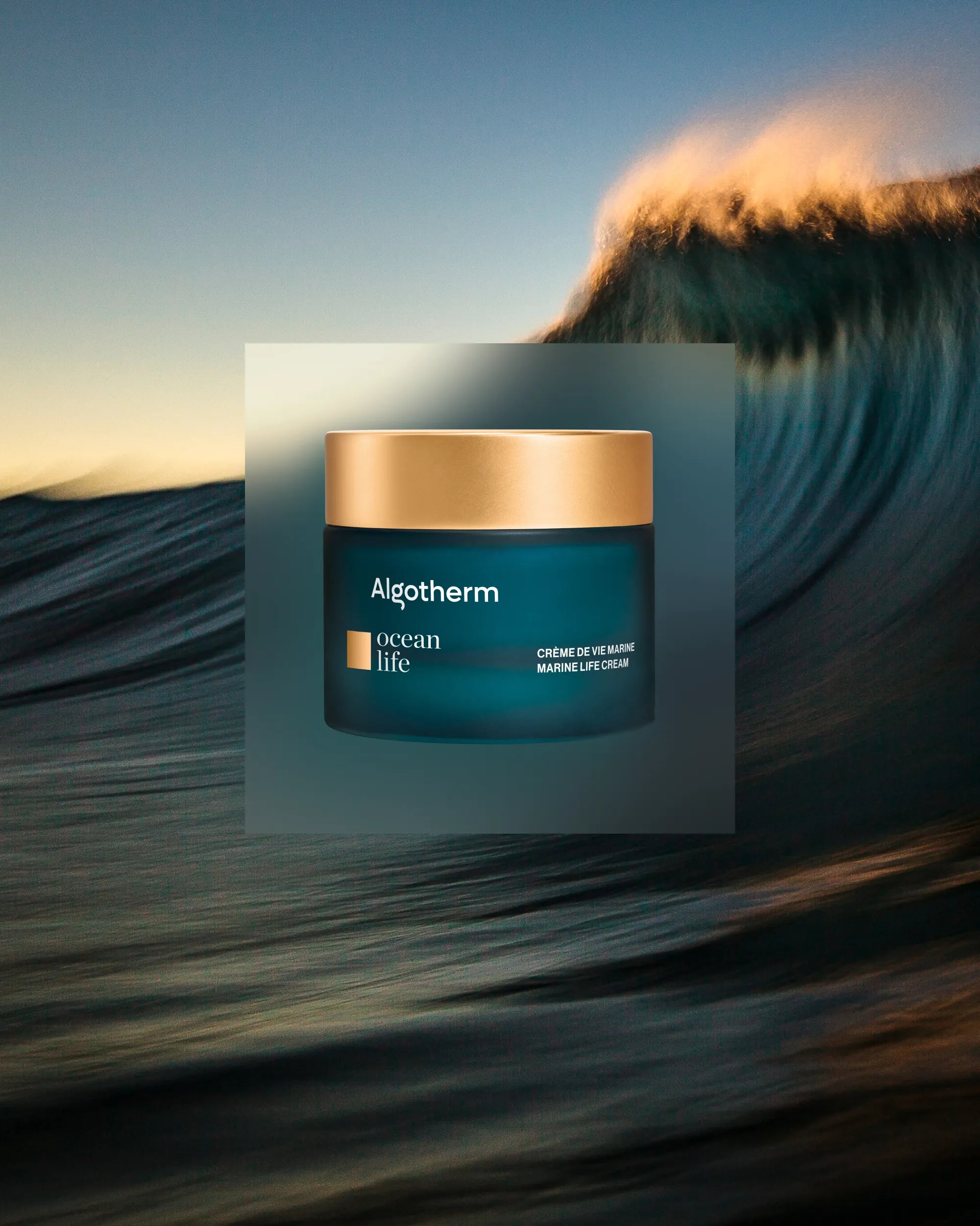 algotherm-ocean-life-cr-me-de-vie-marine-cr-me-visage-anti-ge image 2