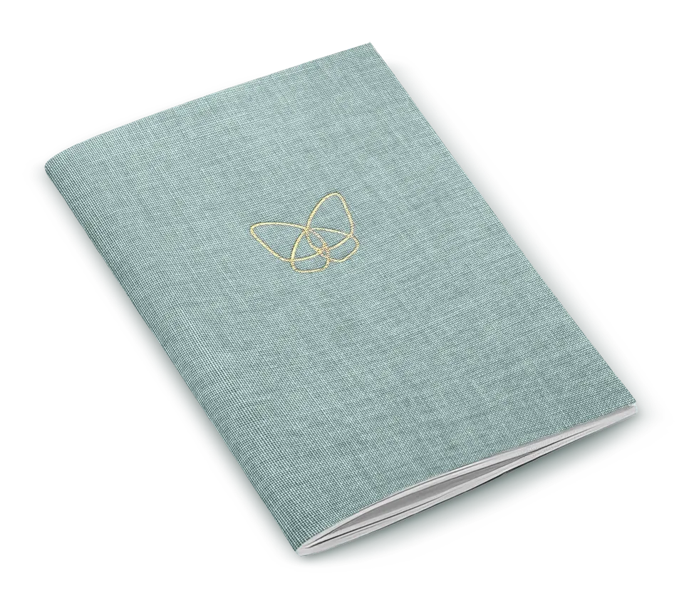 farfalla-frostgreen-carnet-notes-90x130-mm image 1