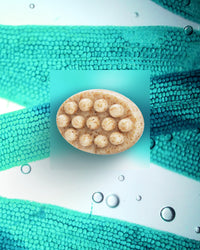 algotherm-ocean-slim-savon-exfoliant-corps-aux-algues image 2