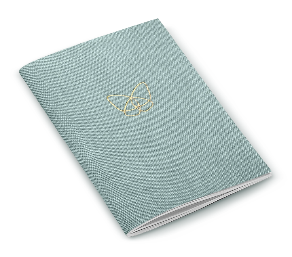 farfalla-frostgreen-carnet-notes-90x130-mm image 1