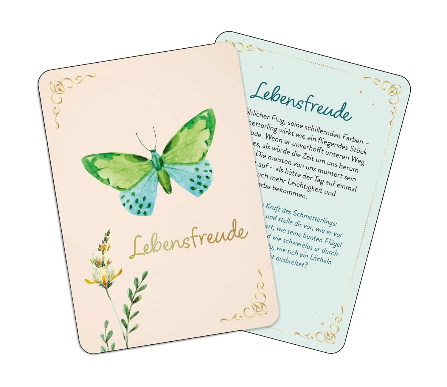 farfalla-zauber-der-schmetterlinge-cartes-oracle-50-cartes-papillons image 2